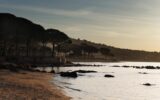 Maison en location vacances à Sainte-Lucie-de-Porto-Vecchio — Vue mer — photo 23