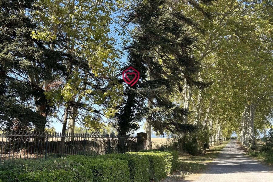 Maison à vendre à Carcassonne — Vue parc & jardin — photo 20