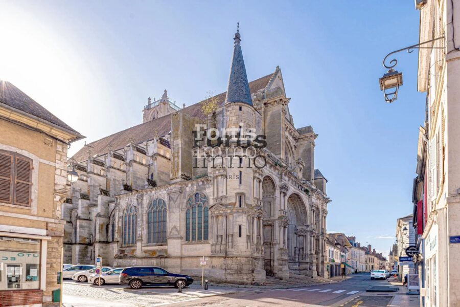 Maison à vendre à Villeneuve-sur-Yonne — Vue parc & jardin — photo 41