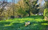 Maison à vendre à Limanton — Vue montagne — photo 3