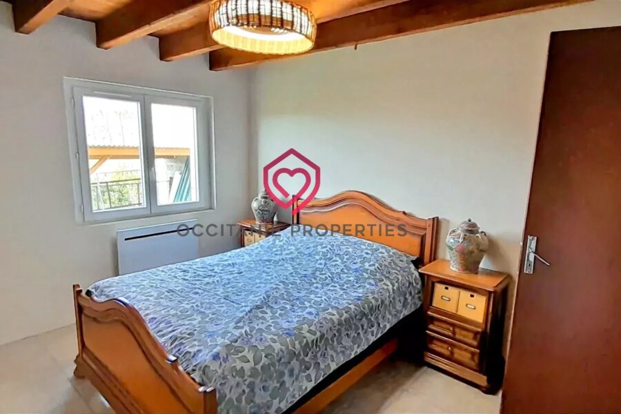 Maison à vendre à Riscle — Vue montagne — photo 19
