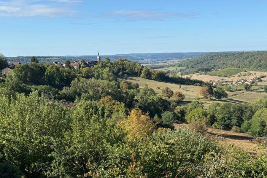 Appartement à vendre à Bourbonne-les-Bains — Vue nature — photo 18