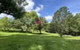 Maison à vendre à Belvèze-du-Razès — Vue montagne — photo 21