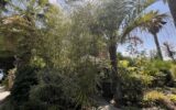 Terrain à vendre à Biot — Vue montagne — photo 27