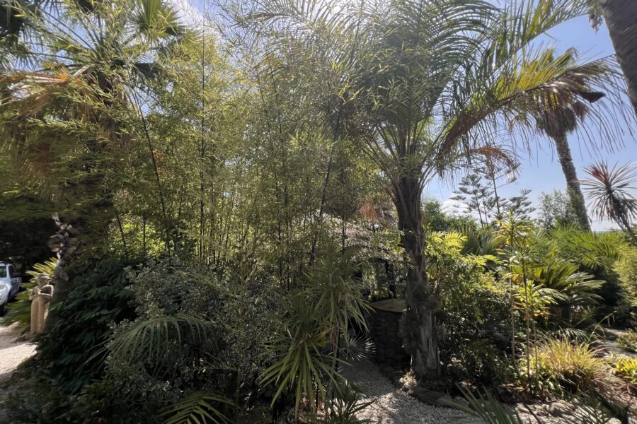 Terrain à vendre à Biot — Vue montagne — photo 27