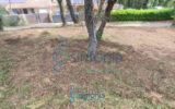Terrain à vendre à Pougnadoresse — photo 4