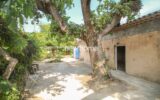 Maison à vendre à Châteauneuf-Grasse — Vue parc & jardin — photo 4