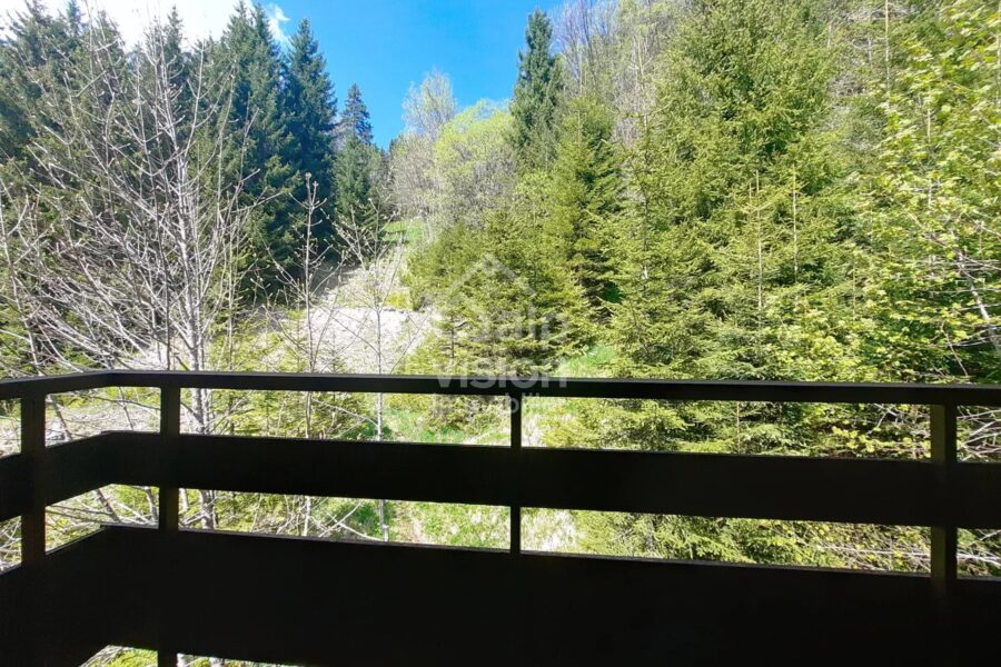 Appartement à vendre à Châtel — Vue montagne — photo 15