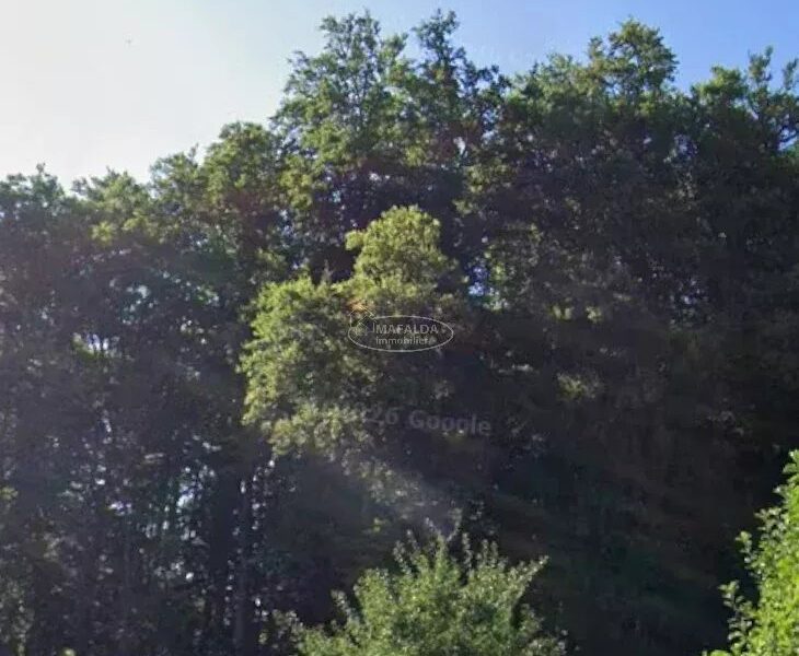 Terrain à vendre à Mont-Saxonnex — photo 2