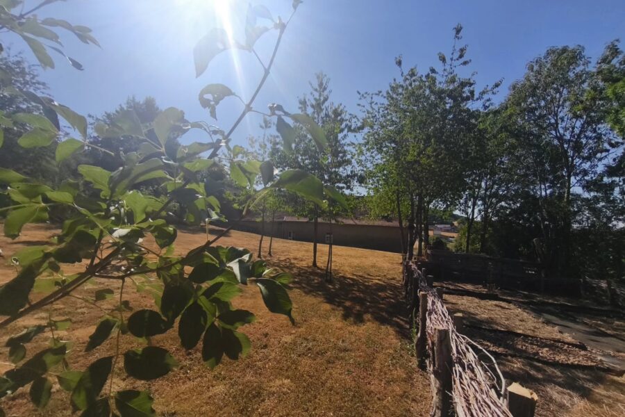 Maison à vendre à Mont — Vue nature — photo 16