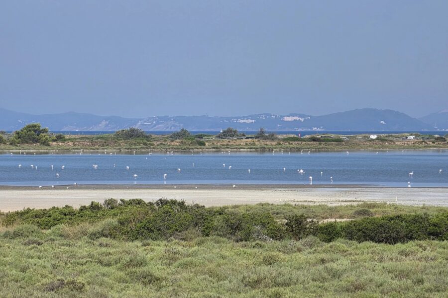 Maison à vendre à Hyères — Vue mer — photo 2