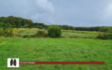 Terrain à vendre à La Brède — Vue dégagée — photo 2