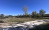 Maison à vendre à Villefranche-de-Lonchat — Vue nature — photo 19