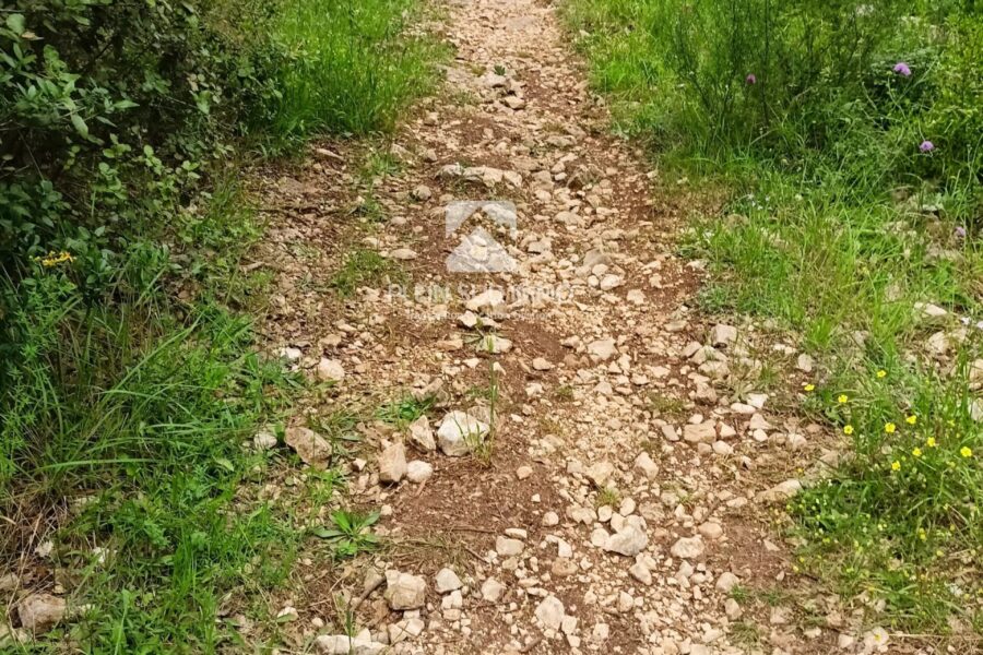 Terrain à vendre à Roquefort-les-Pins — photo 2