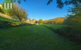 Maison à vendre à Saint-Étienne — Vue parc & jardin — photo 5