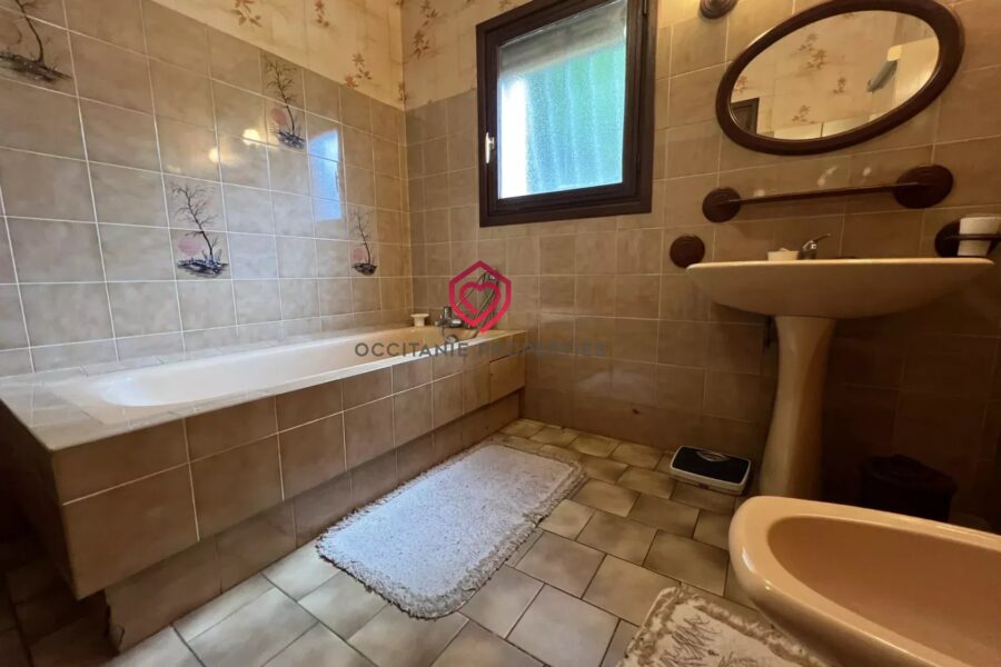Maison à vendre à Saint-Lizier — Vue montagne — photo 10