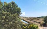 Maison à vendre à Talmont-Saint-Hilaire — Vue nature — photo 1
