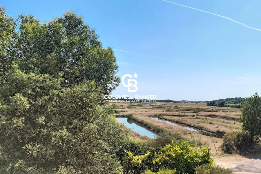 Maison à vendre à Talmont-Saint-Hilaire — Vue nature — photo 1