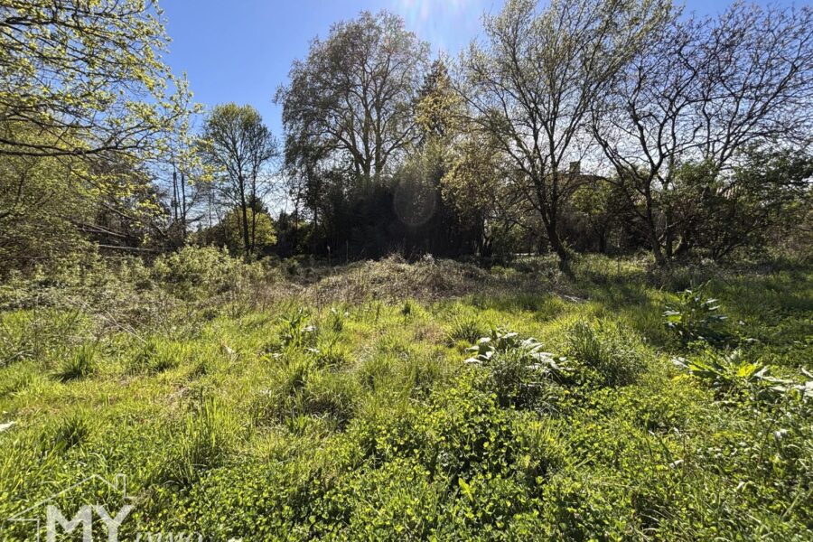Terrain à vendre à Montcaret — Vue parc & jardin — photo 4