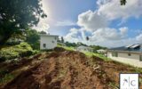 Maison à vendre à Rivière-Salée — Vue nature — photo 19