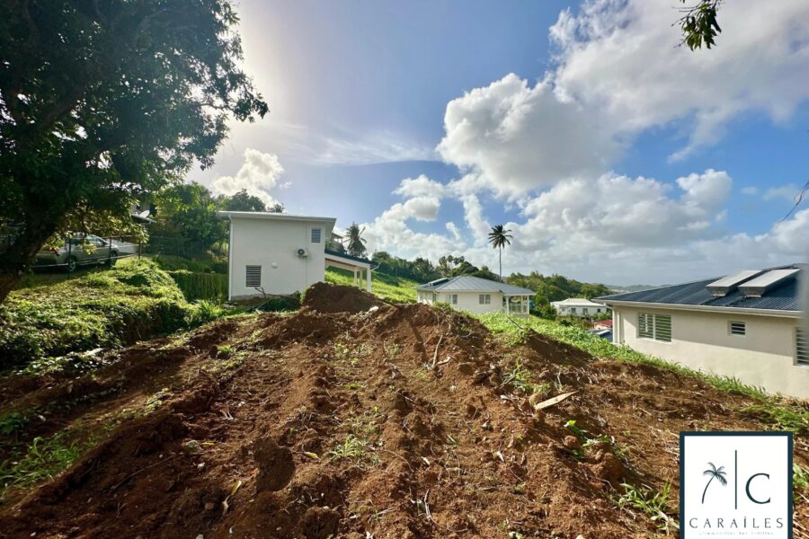 Maison à vendre à Rivière-Salée — Vue nature — photo 19