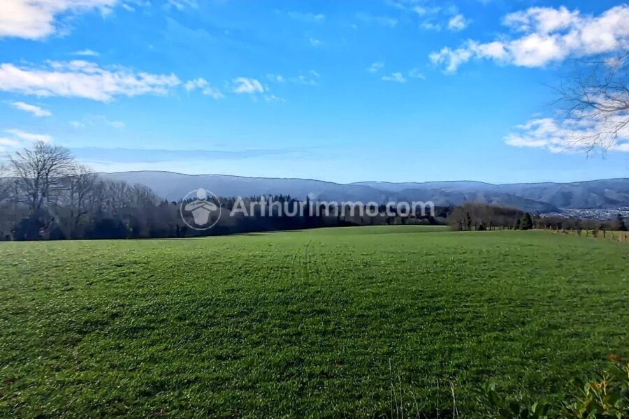 Maison à vendre à Pont-de-Larn — Vue montagne — photo 42