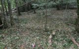 Terrain à vendre à Waterloo — Vue dégagée — photo 2
