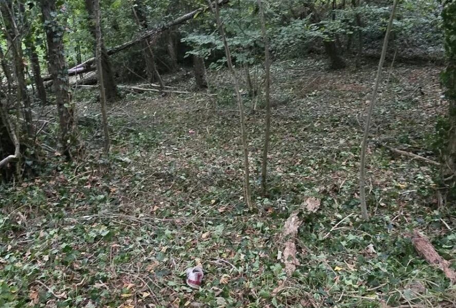 Terrain à vendre à Waterloo — Vue dégagée — photo 2