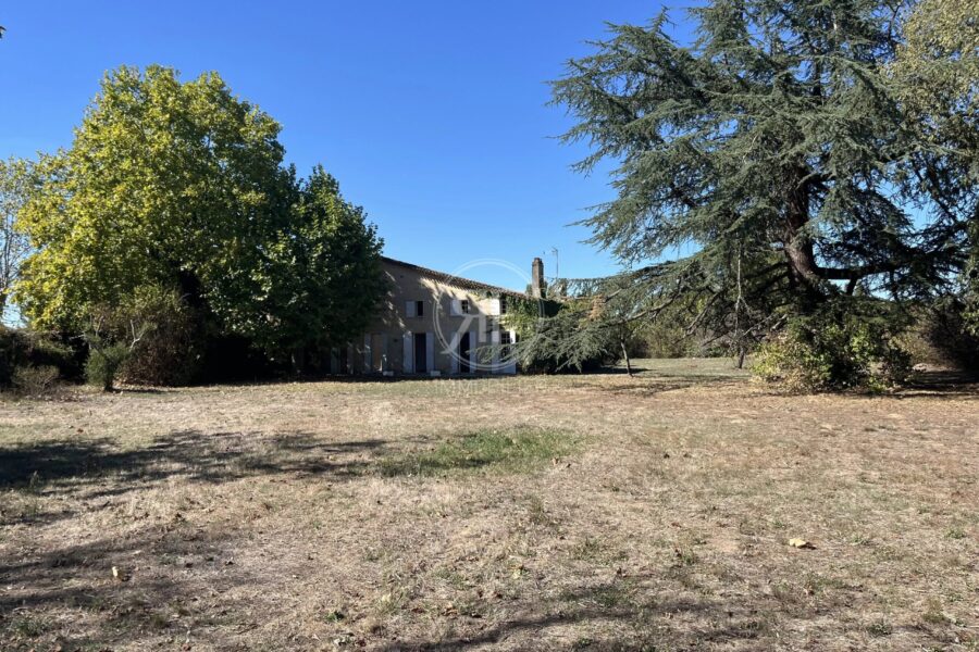 Maison à vendre à Les Artigues-de-Lussac — Vue nature — photo 22