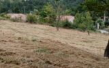 Terrain à vendre à Coursegoules — Vue nature — photo 4