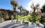 Maison à vendre à Saintry-sur-Seine — Vue parc & jardin — photo 1