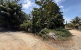 Terrain à vendre à Cayenne — Vue dégagée — photo 1