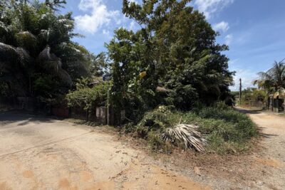 Terrain à vendre à Cayenne