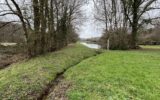 Maison à vendre à Saint-Léger-de-Fougeret — Vue nature — photo 19