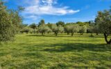 Maison à vendre à Aix-en-Provence — Vue nature — photo 1