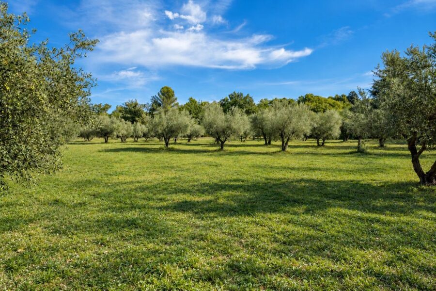 Maison à vendre à Aix-en-Provence — Vue nature — photo 1