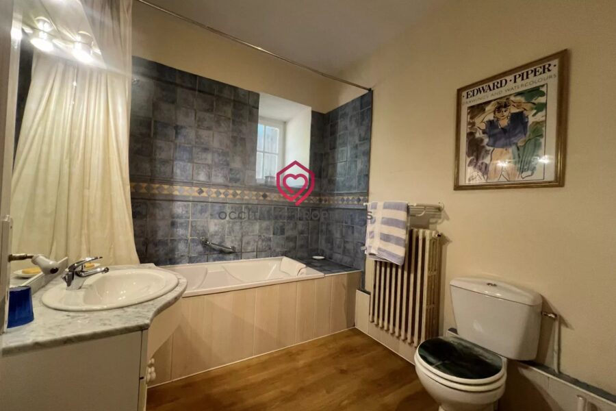Maison à vendre à Aspet — Vue nature — photo 29
