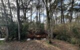 Maison à vendre à Gujan-Mestras — Vue nature — photo 1
