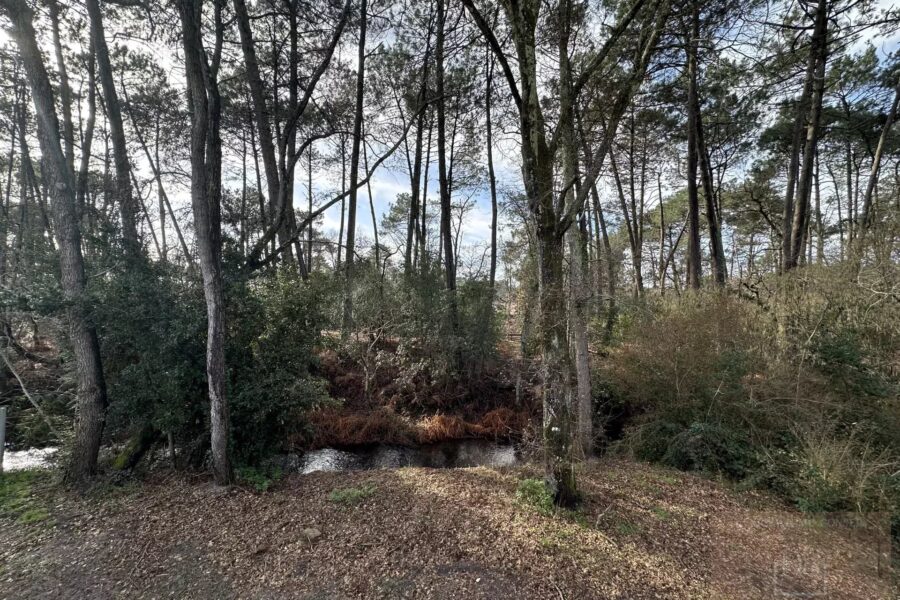 Maison à vendre à Gujan-Mestras — Vue nature — photo 1