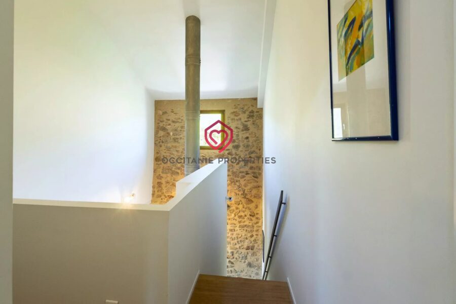 Maison à vendre à Rieux-Minervois — Vue montagne — photo 11