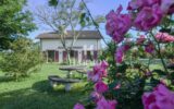 Maison à vendre à Salies-de-Béarn — Vue montagne — photo 14