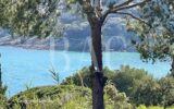 Maison à vendre à Saint-Tropez — Vue mer — photo 5