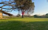 Maison à vendre à Loussous-Débat — Vue nature — photo 52