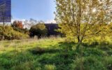 Maison à vendre à Vandenesse-en-Auxois — Vue nature — photo 9