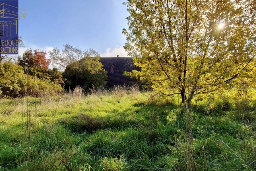 Maison à vendre à Vandenesse-en-Auxois — Vue nature — photo 9