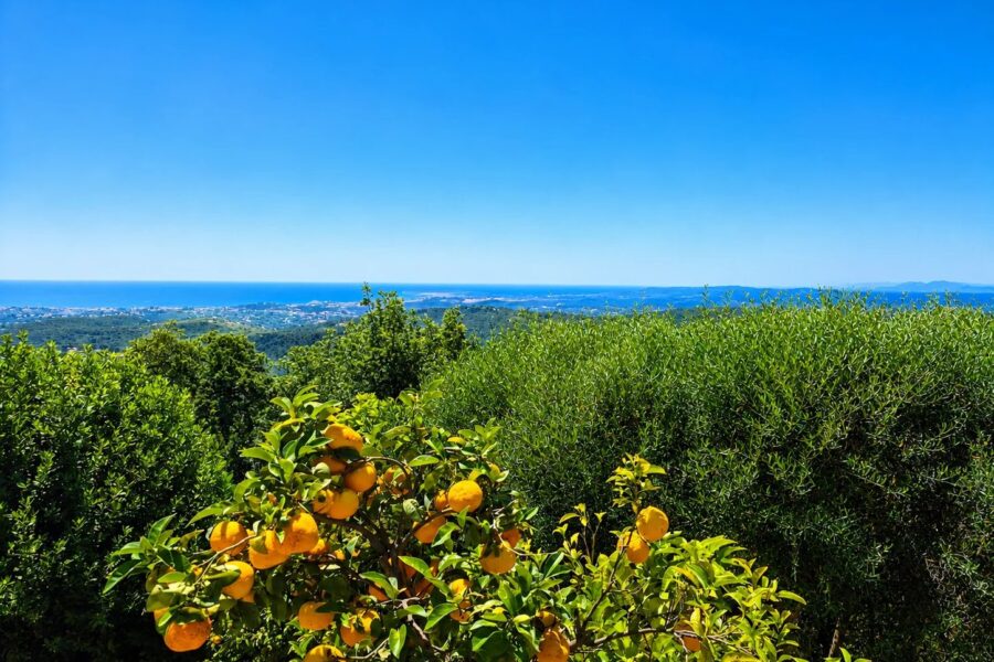 Maison à vendre à Vence — Vue mer — photo 6