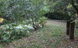 Terrain à vendre à Waterloo — Vue dégagée — photo 5