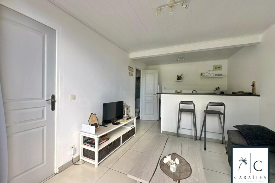 Maison à vendre à Sainte-Luce — Vue mer — photo 22