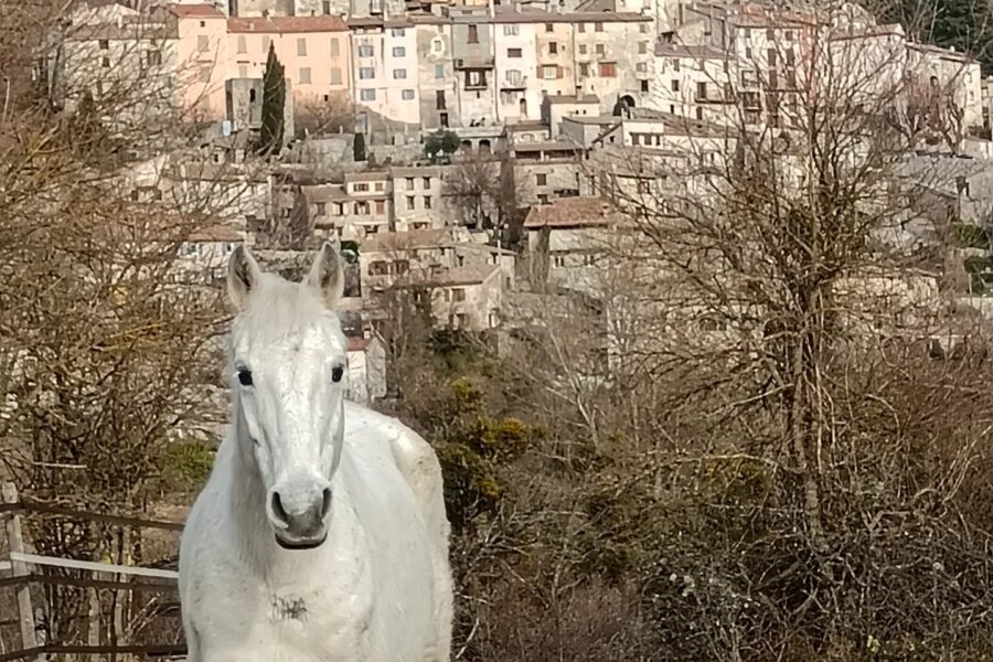 Maison à vendre à Coursegoules — Vue nature — photo 21