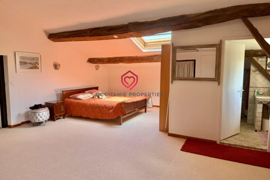 Maison à vendre à Villefranche-de-Lauragais — Vue montagne — photo 15